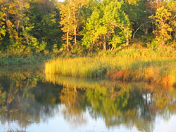 Fall Reflections